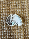NC sticker ~ Nautilus