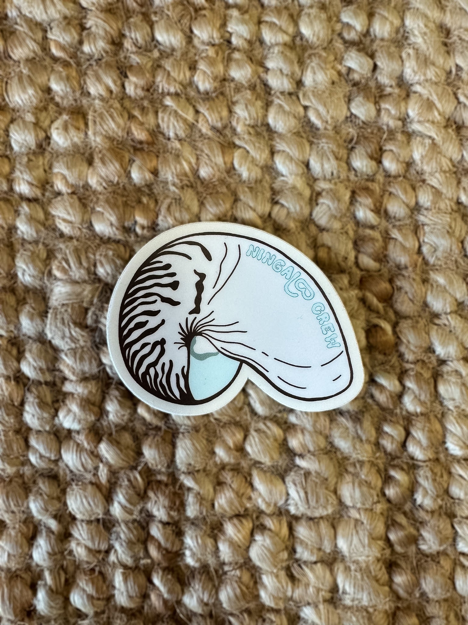 NC sticker ~ Nautilus