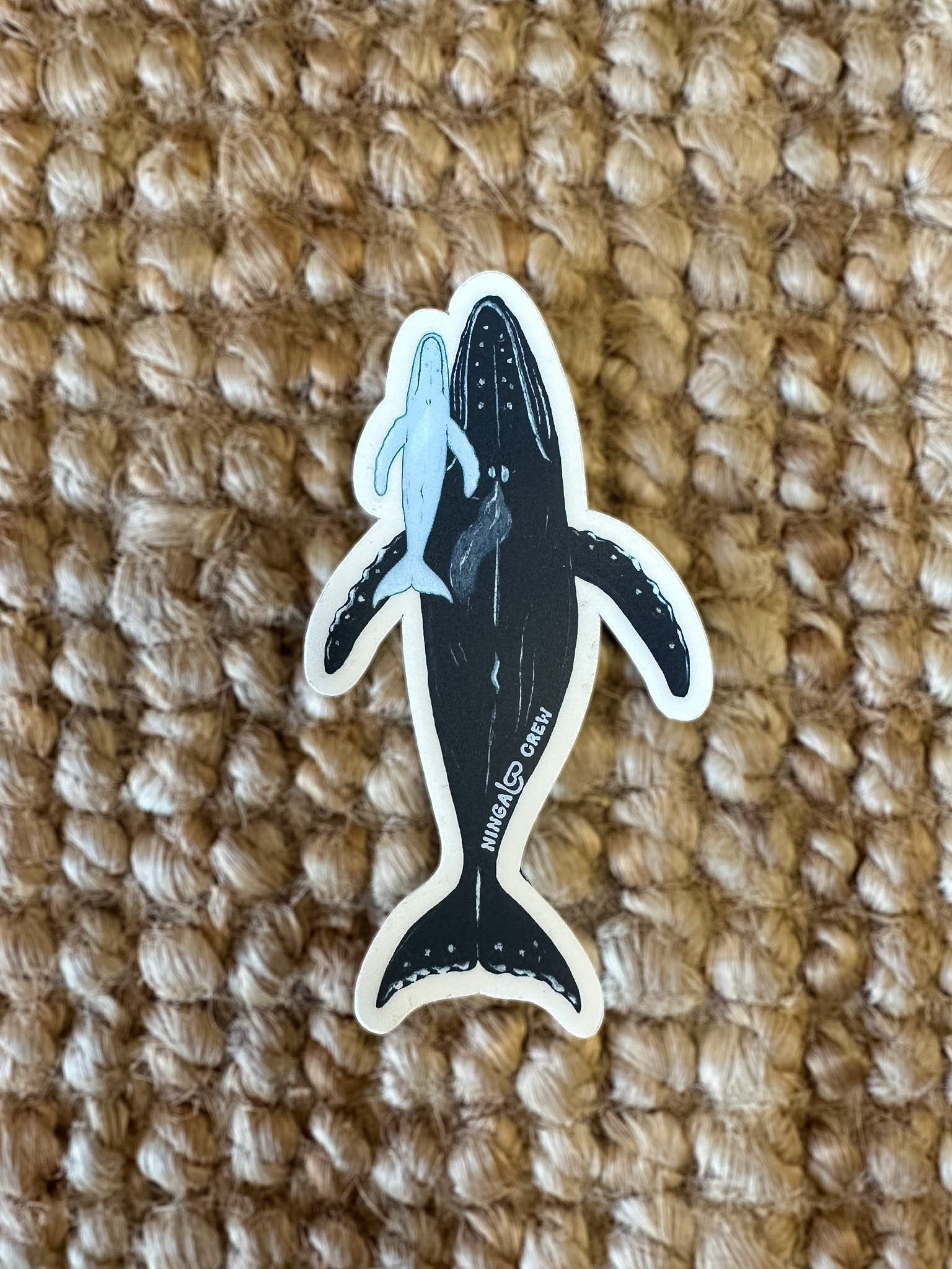 NC Sticker ~ Whales