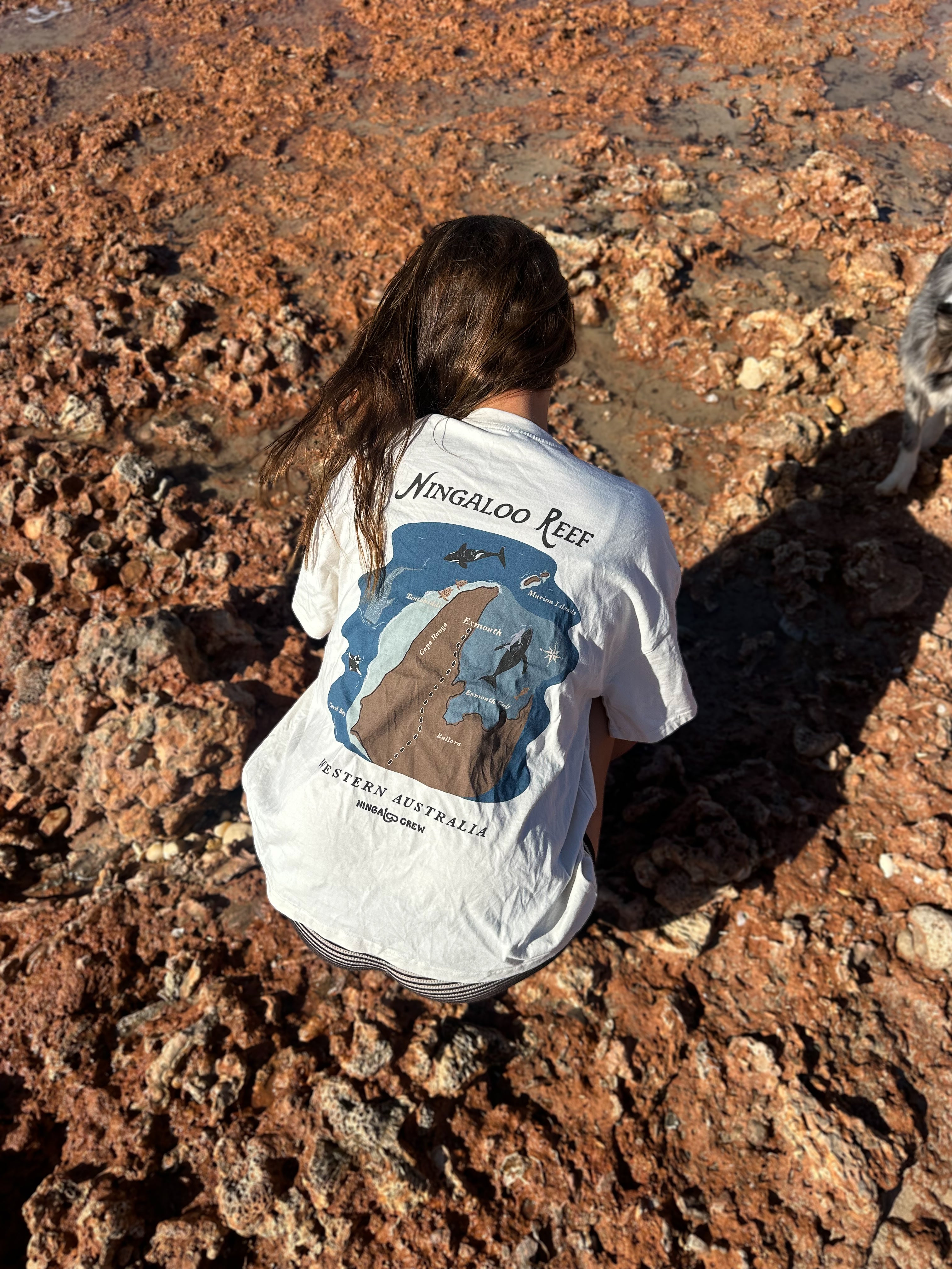NC Ningaloo Reef Tee ~ Cream