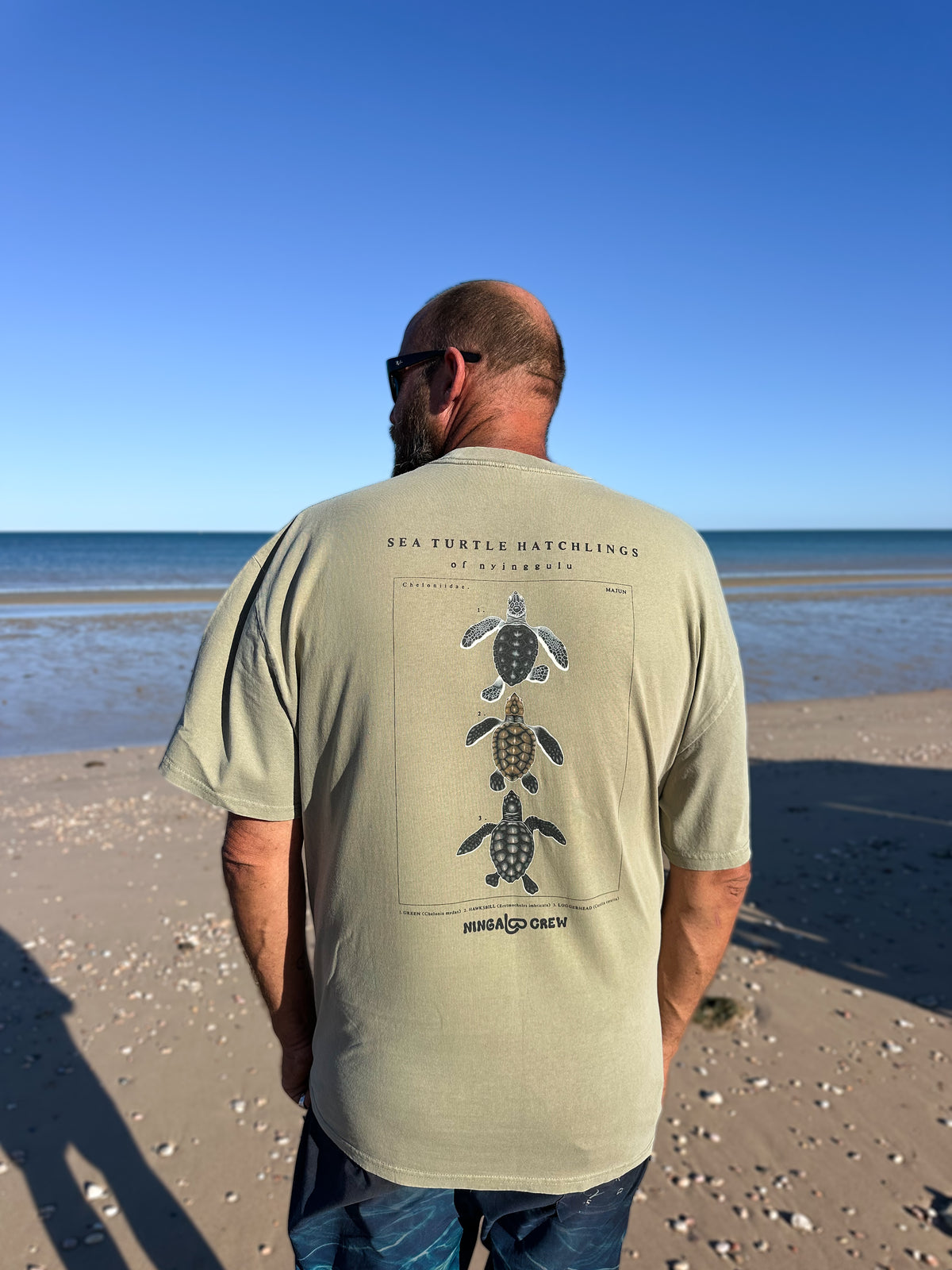 NC Turtle Hatchlings Tee