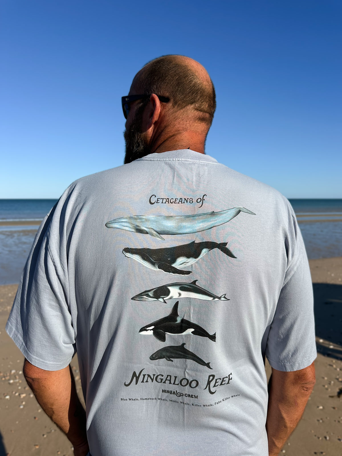 NC Cetaceans Tee