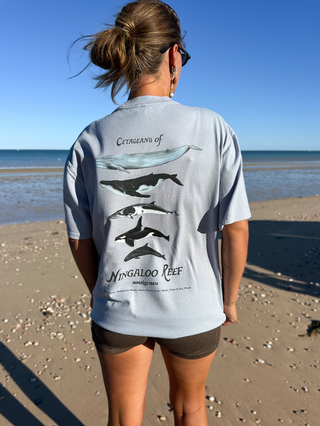 NC Cetaceans Tee