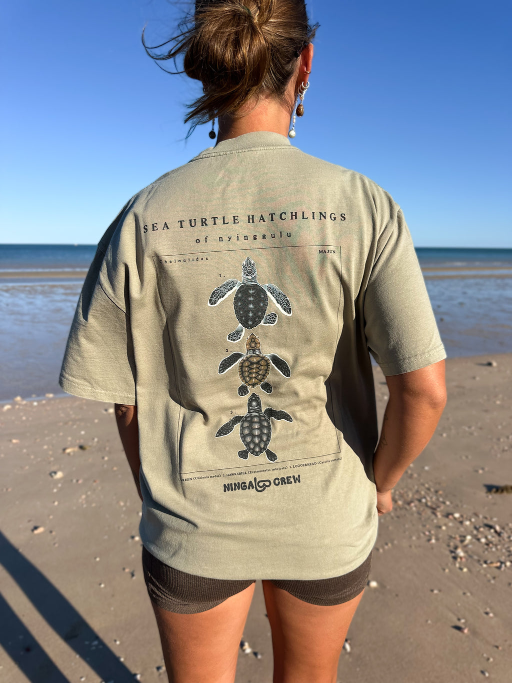 NC Turtle Hatchlings Tee