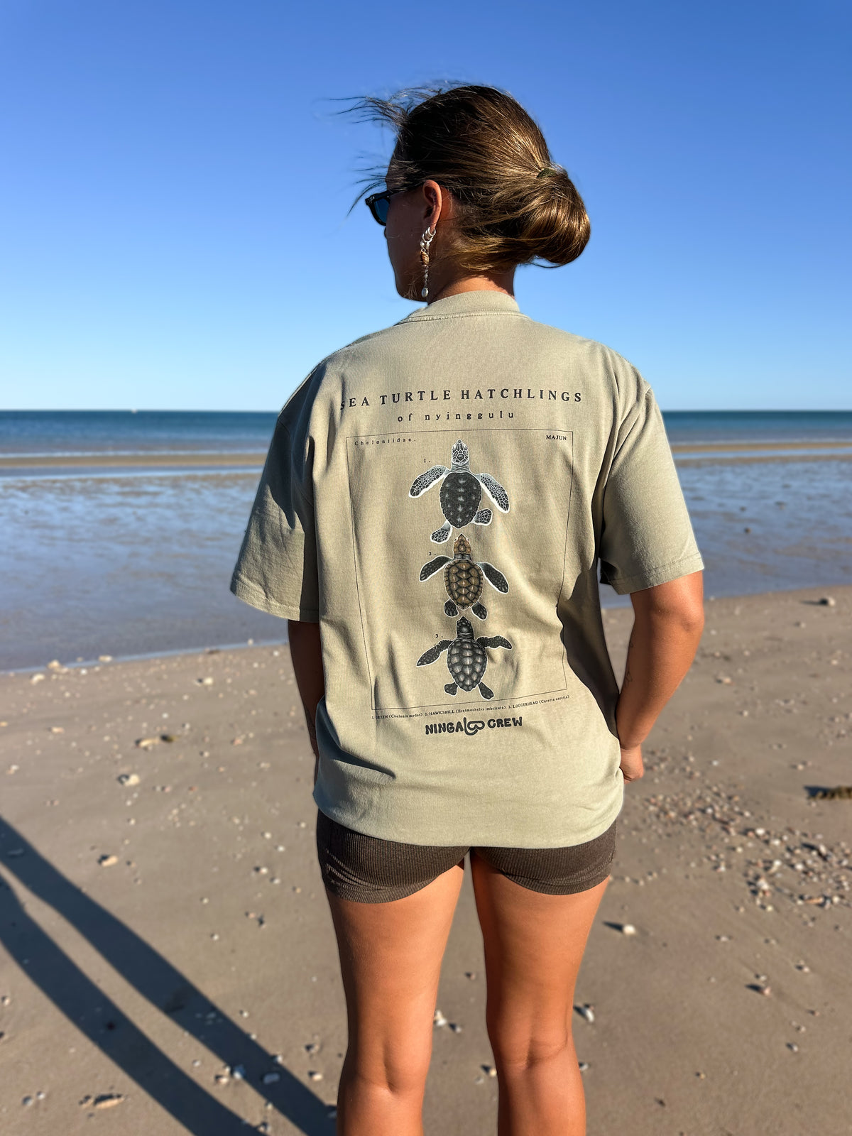 NC Turtle Hatchlings Tee