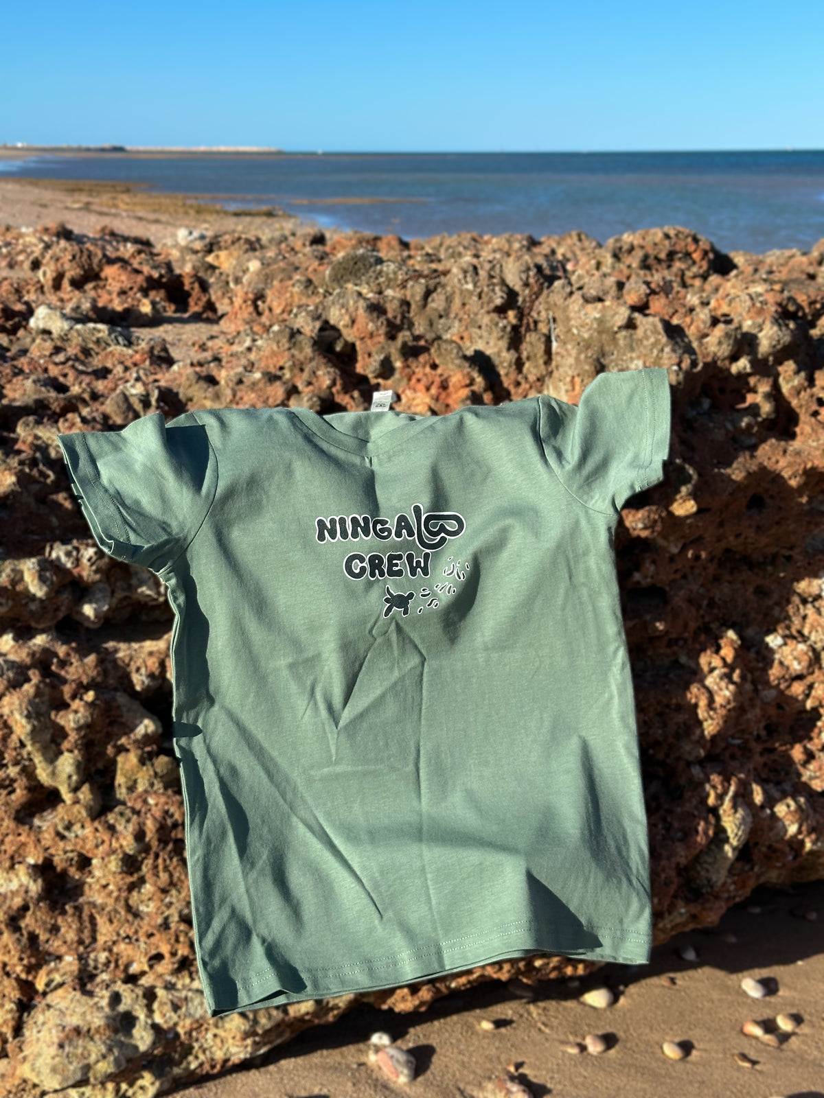 NC KIDS Turtle Hatchlings Tee