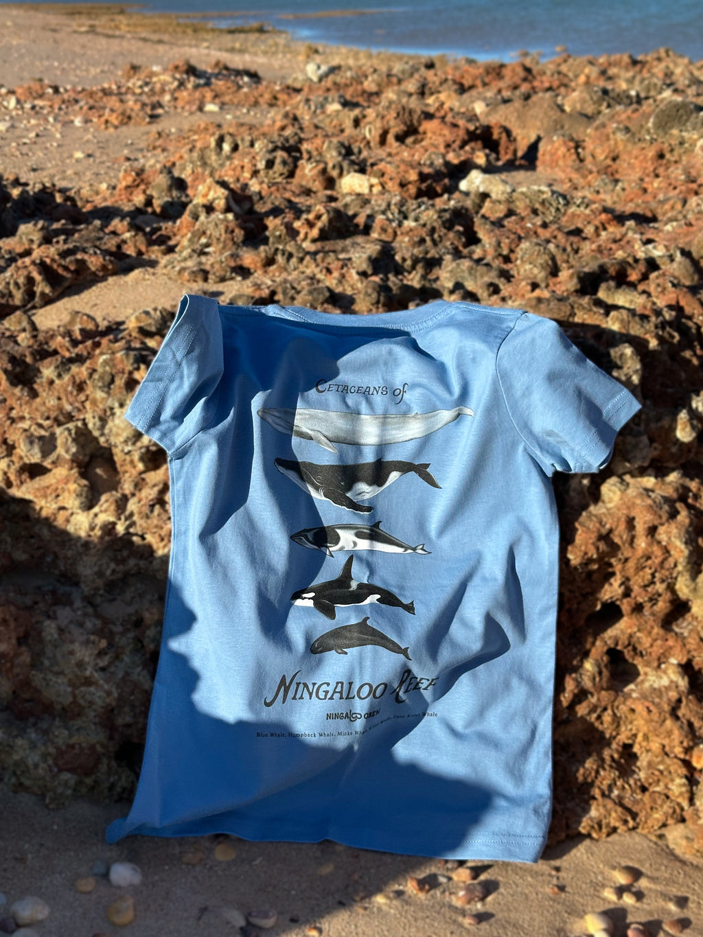NC KIDS Cetaceans Tee