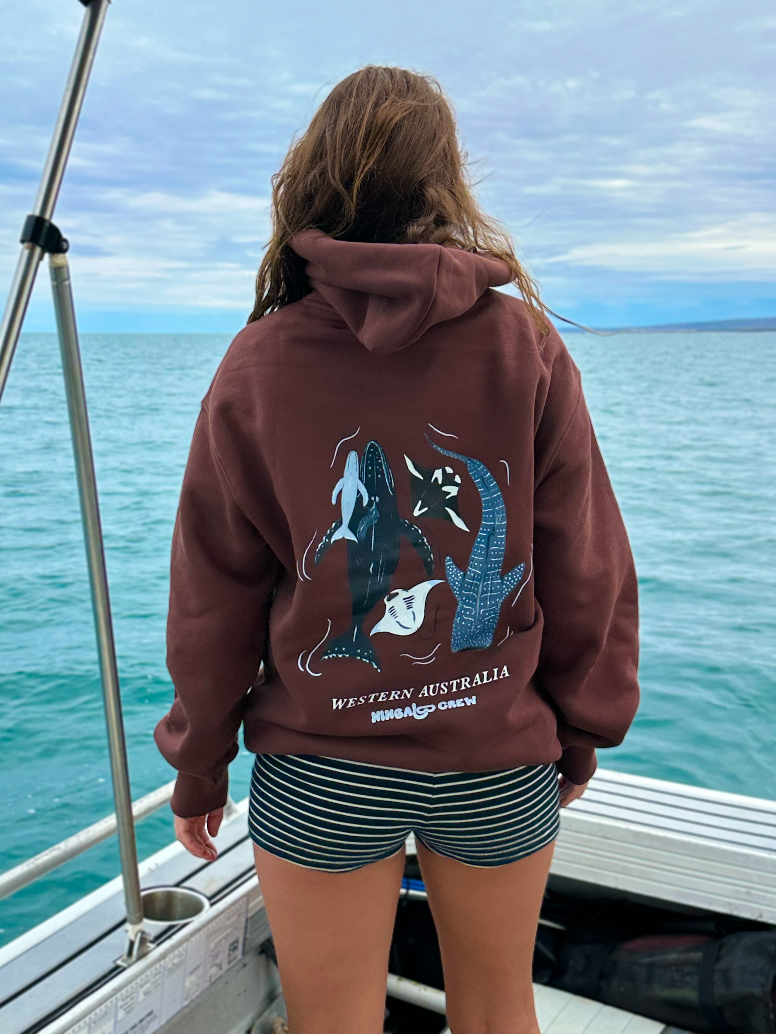 NC Big Three Hoodie